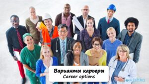 Career Options