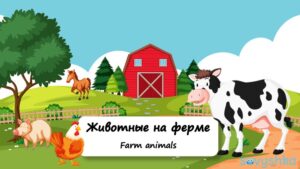 Farm animals
