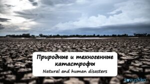 Natural and Human Disasters