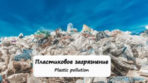 Plastic Pollution