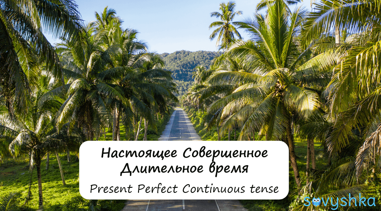 present perfect continuous 1